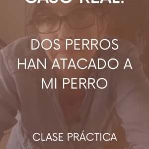 Gestión de conflictos entre perros - CLASE PRÁCTICA
