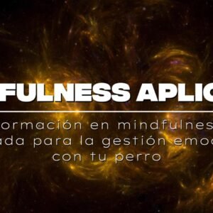 Mindfulness aplicado para la gestión emocional con tu perro