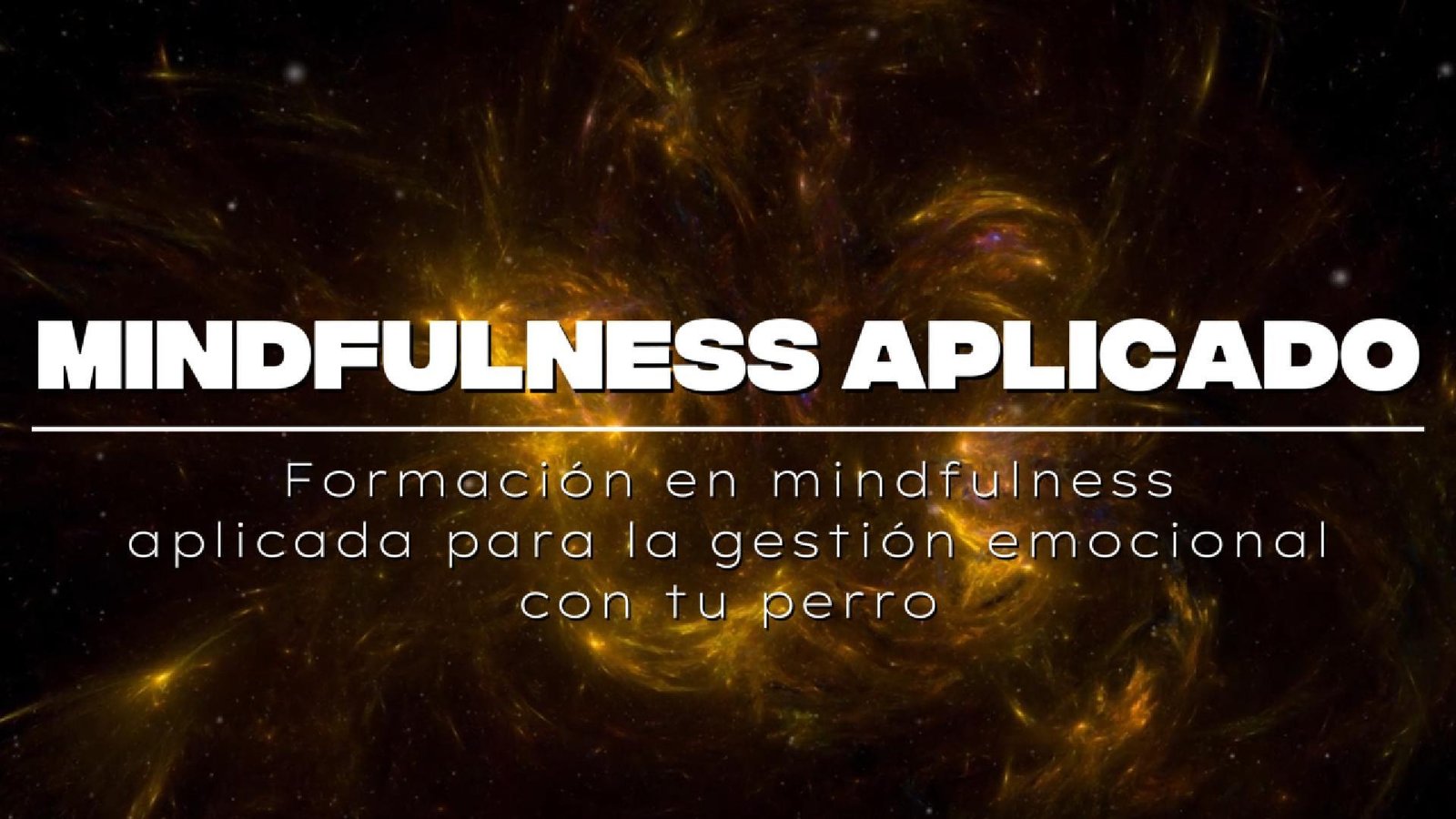 Mindfulness aplicado para la gestión emocional con tu perro